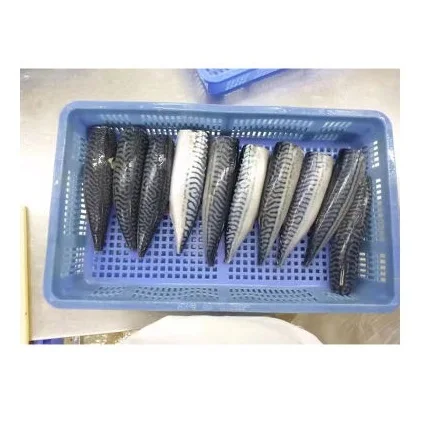 Wholesale Supplier of Frozen Mackerel Fish Fillet Norwegian - Buy Online Frozen Seafood Fish Bulk Quantity Ready for Export