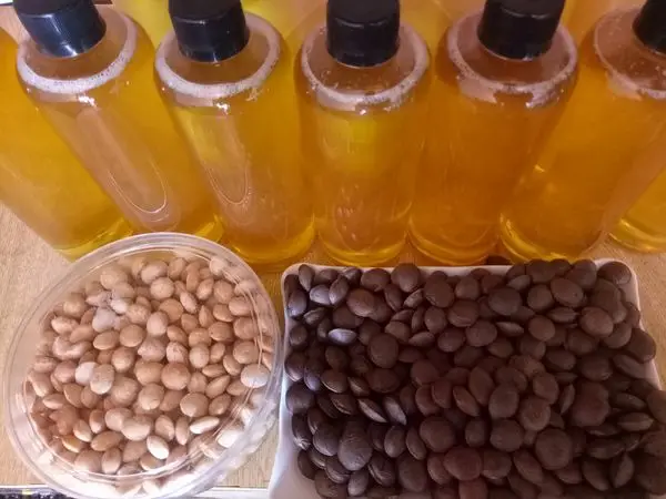 Органическое Масло Сача-инчи хорошего сорта масло Инчи с инками экстра-девственницы Омега 3/мс. Лима (+ 84) 346565938