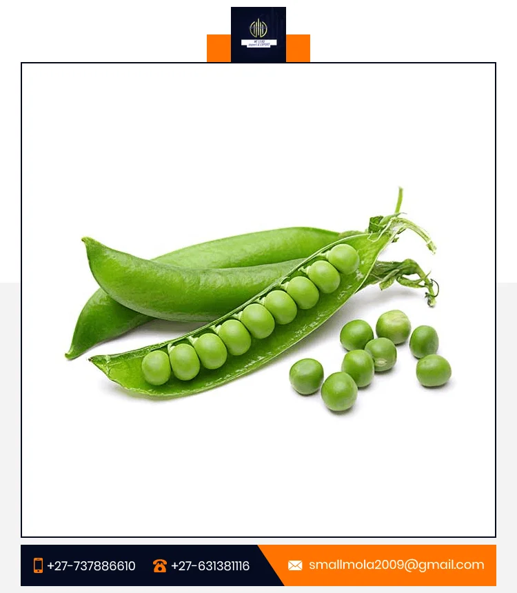 2022 Hot Sale Peas Wholesale High Quality Natural Vegetable Bulk Frozen Green Peas Supplier and Exporter