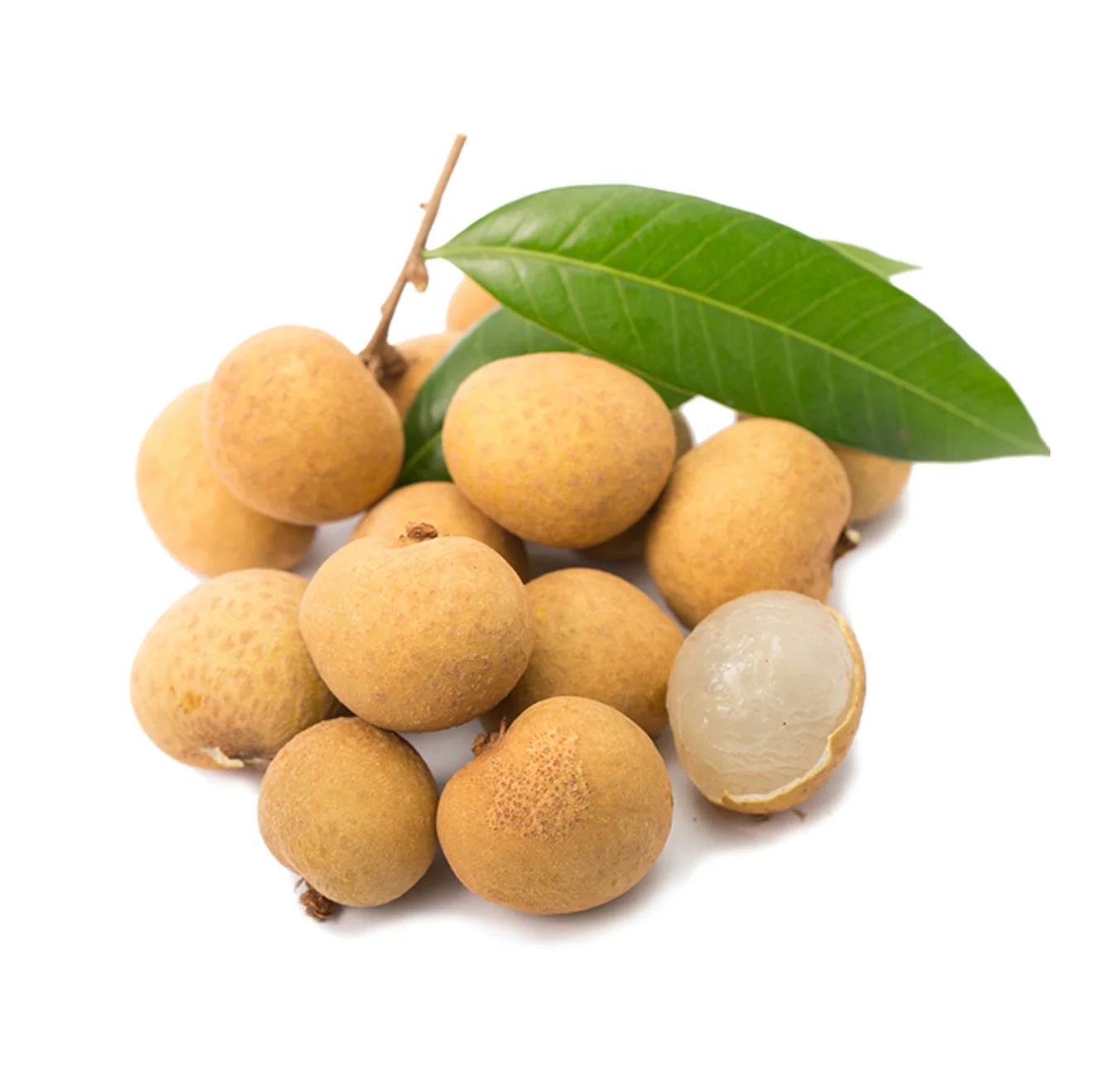 Вьетнамский высококачественный тропический фрукт Longan Premium Longan V.A.F вьетнамская сельскохозяйственная продукция