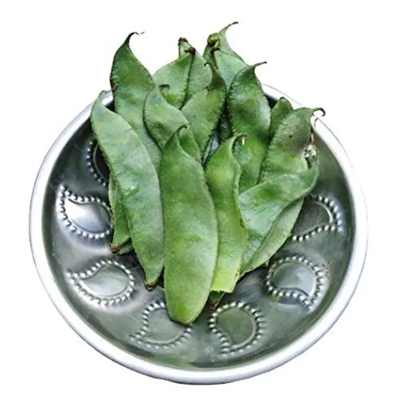 Wholesale price for Lab Beans (Sona)