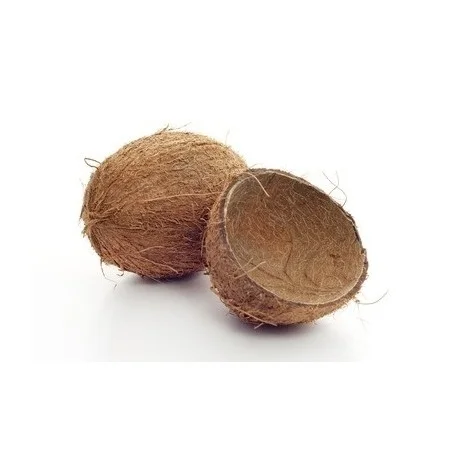 Hot Selling Price Raw Coconut Shell Material Agriculture Waste in Bulk