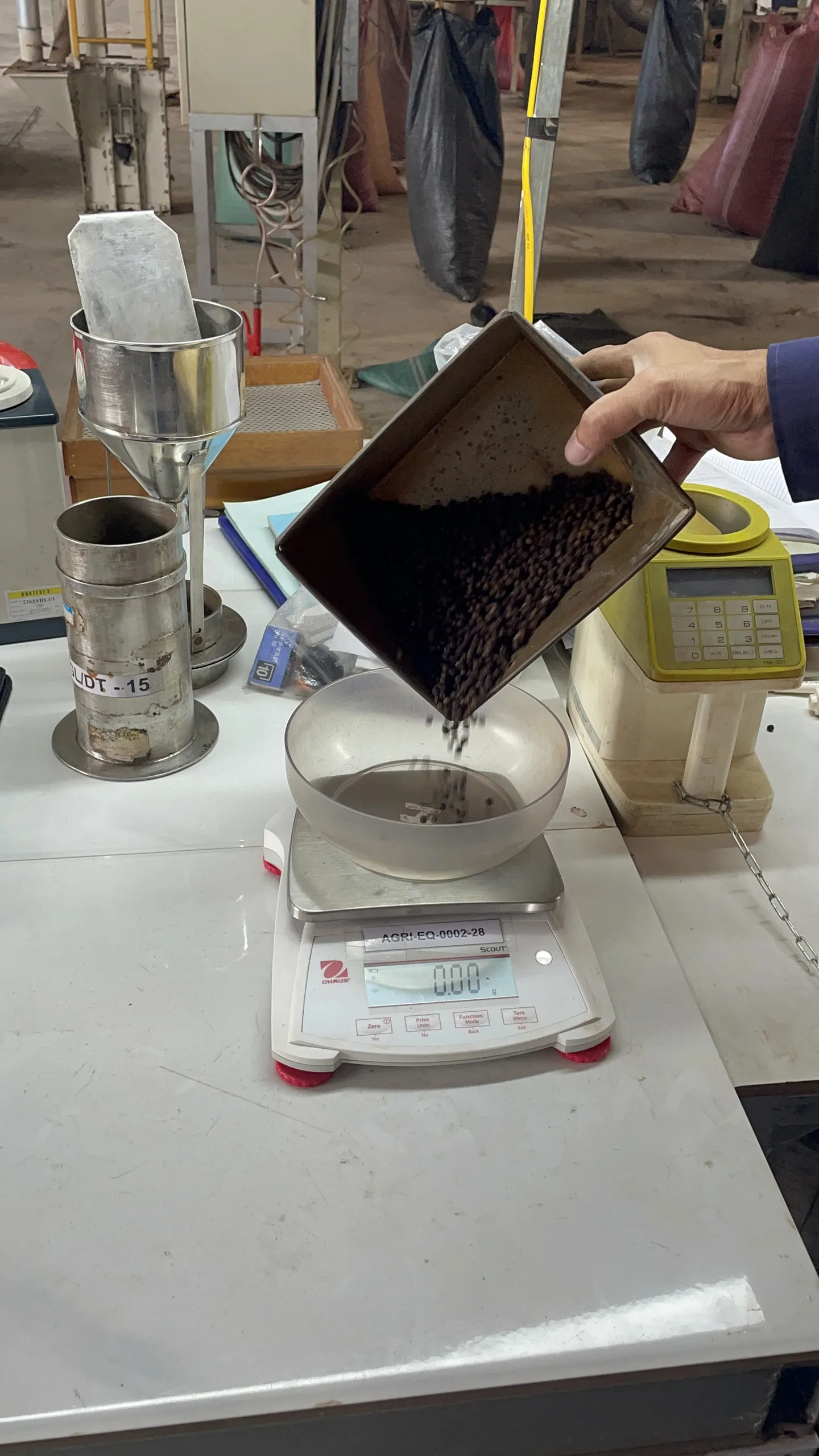 Wholesale Best Price Black Pepper With High Quality From Vietnam 100% Pure For Cooking Herbs And Ingredients