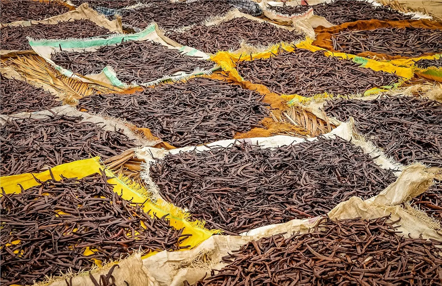 Madagascar Vanilla Beans. Certified USDA Organic. Bulk for Extract and all things Vanilla. Fresh Bourbon