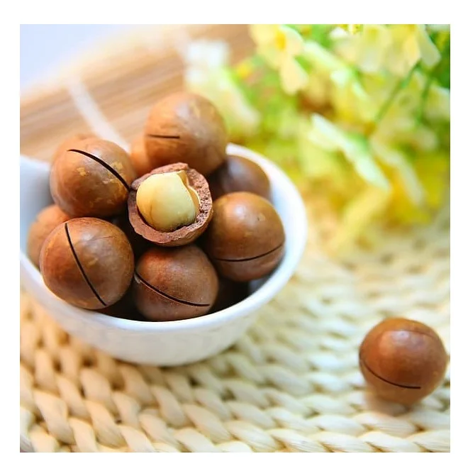 Nuts Macadamia for Sale Roasted in shell Macadamia Nuts Wholesale Price