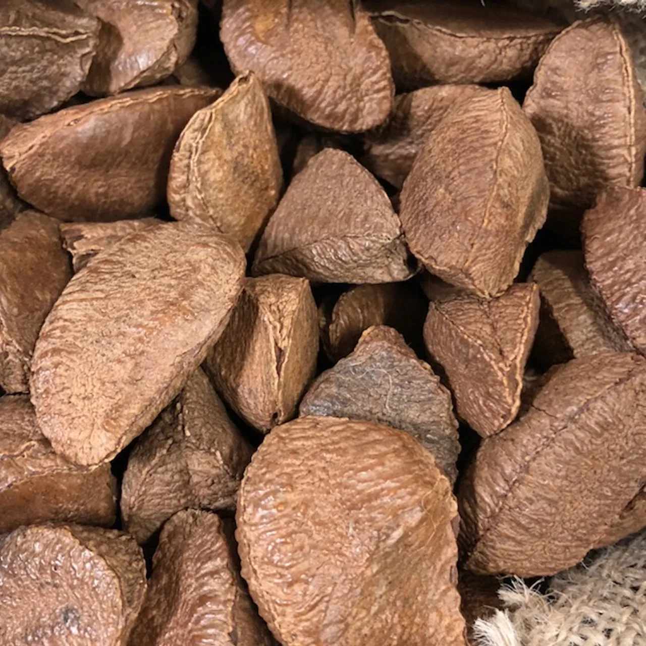 brazil nuts wholesnut for eating dried raw shelled brazil food grade 100 yellow top high quality Various size brazil nuts