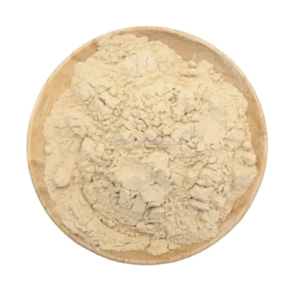 Highest Quality Pea Protein Isolate Powder with Best Price