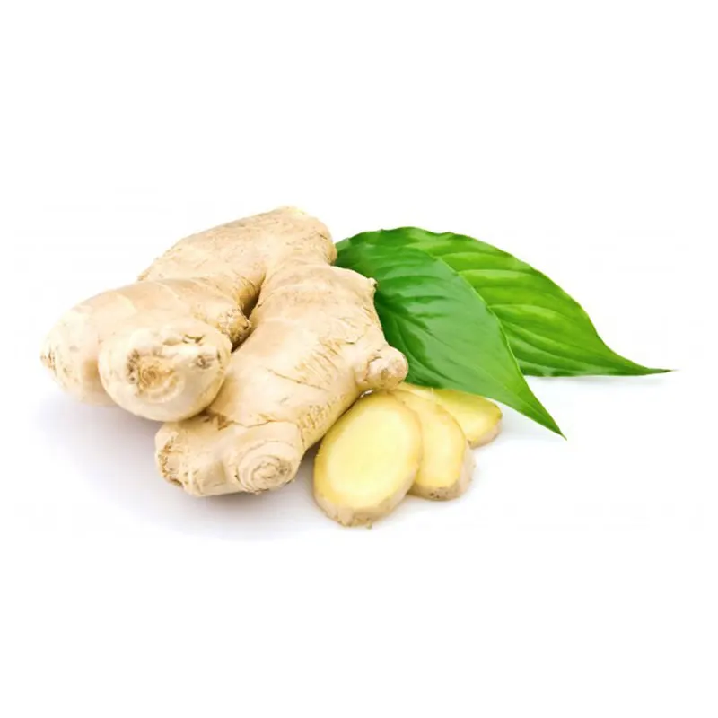 Indian Exporter of Dry Ginger Single Spices & Herbs at Wholesale Price