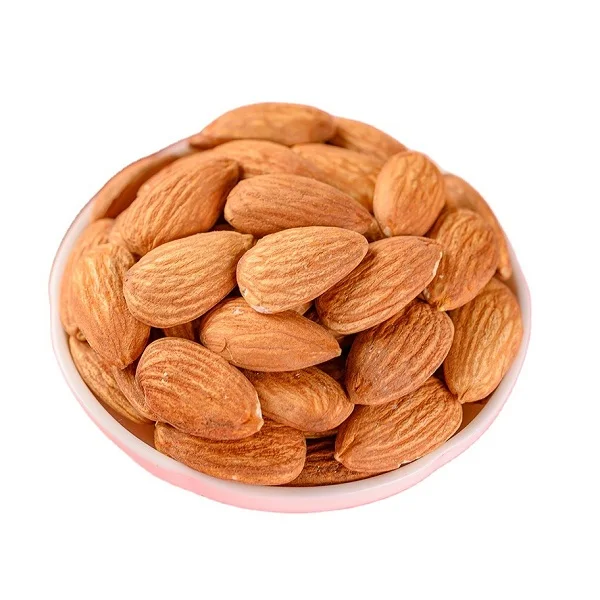 Hot Selling Price Of Raw Organic Apricot kernel Nuts In Bulk Quantity (10000008518991)
