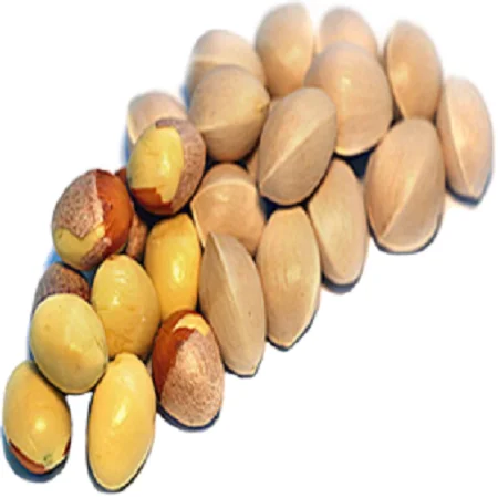 Cheap Price ginkgo Nuts Good Price For Sale (1600675487150)