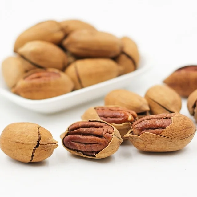 Pecan Nuts Top Quality Grade Raw Organic Fresh Crop nuts of pecan nuts