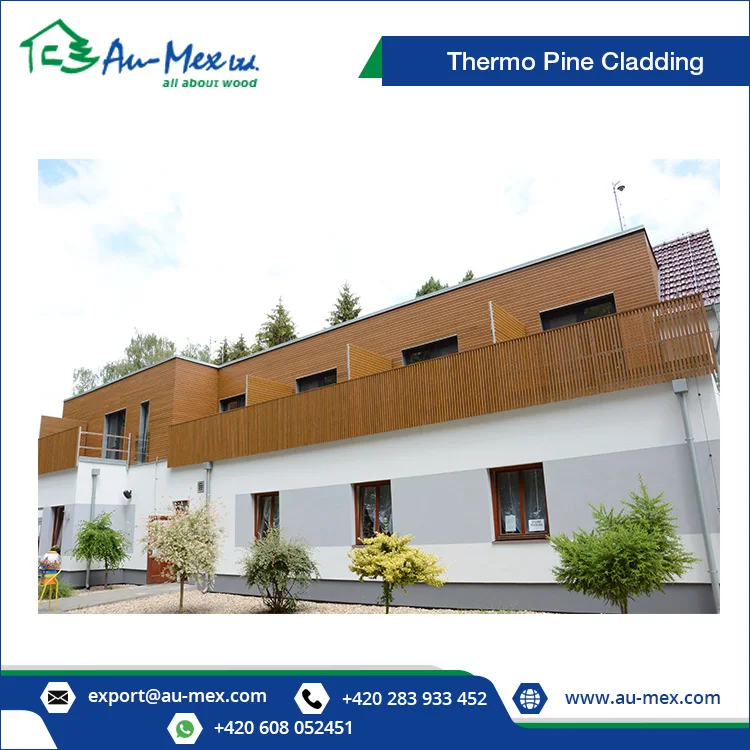 thermo pine alibaba 4