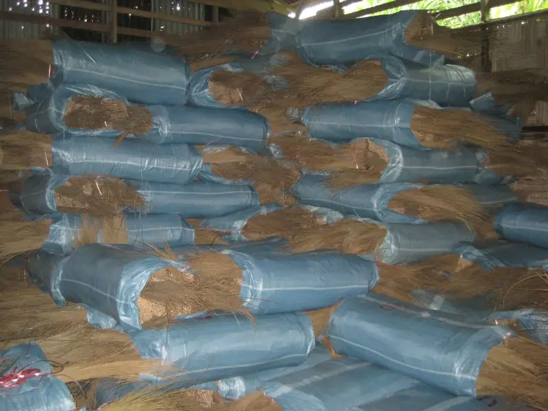 Hot selling Coconut Broom Stick - Coconut Tree-ECO Broom Stick For Cleaning Coconut Grass Broom Sticks