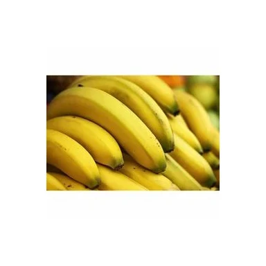 Fresh Cavendish Banana - 100% High Quality Green Fresh Cavendish Banana with Factory price G9 Fresh Indian Cavendish