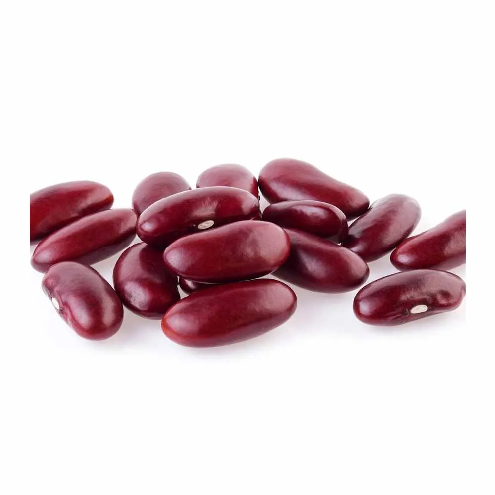 Long Shape Pinto Beans--2023 New Harvest