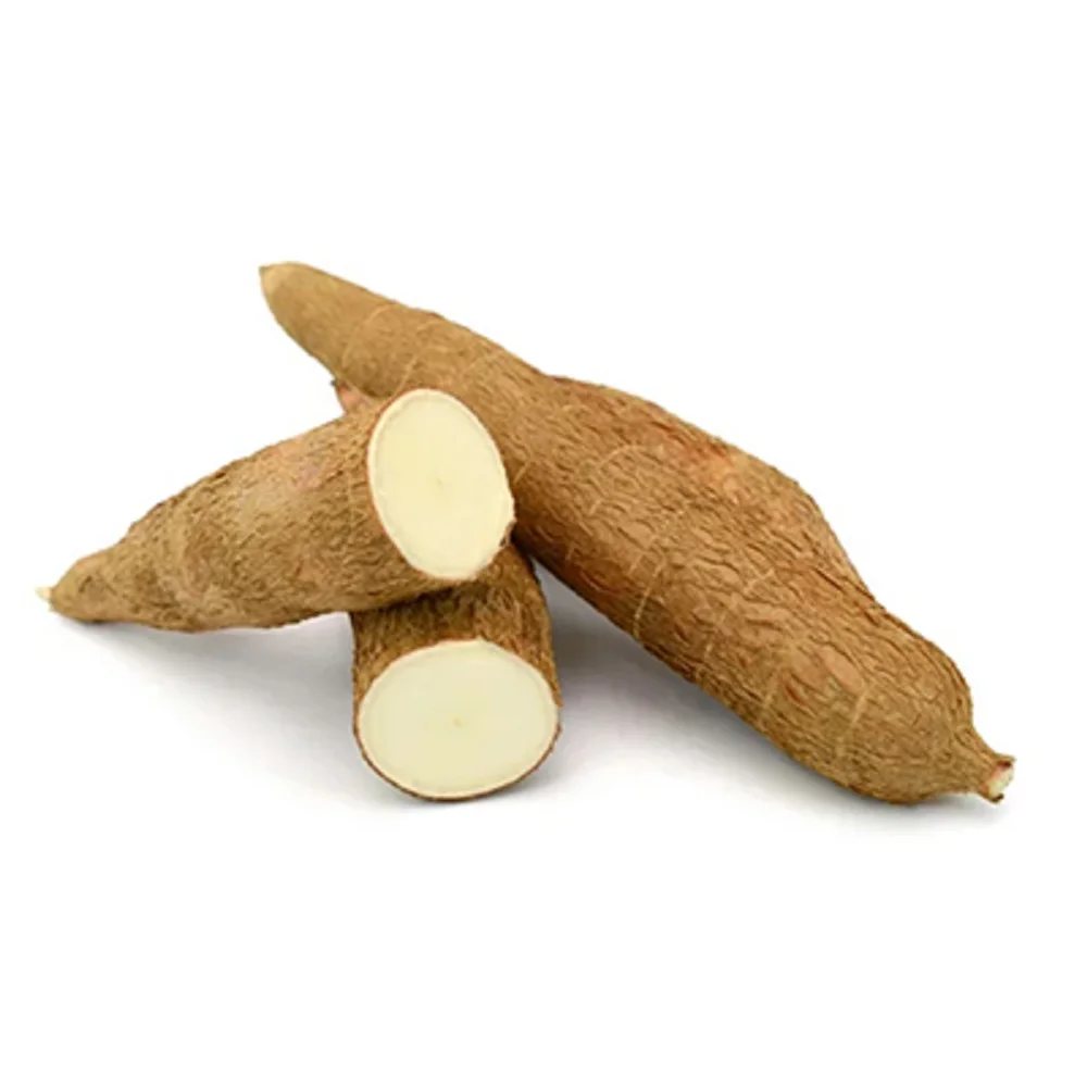 Thailand  Low Price Dried Cassava Chips with good price