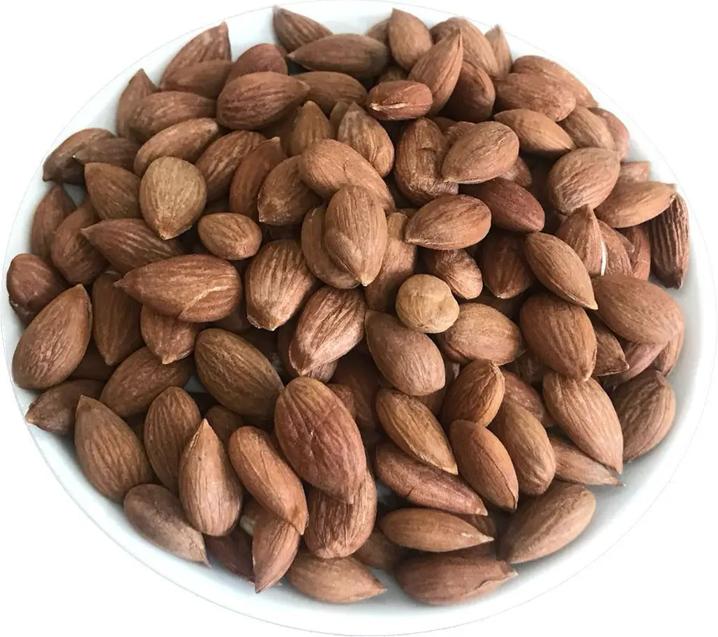 Sweet Turkish Apricot Kernels Dried Snack Organic Nuts Dried Fruit  Sweet Turkish Apricot Kernels