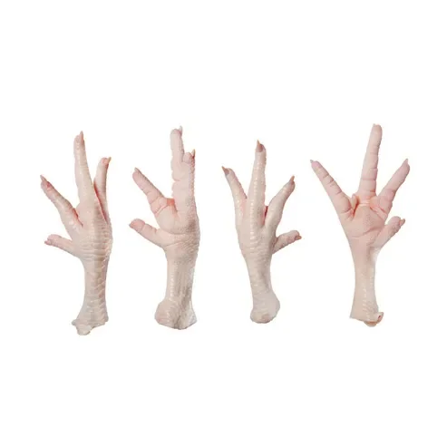 Frozen Chicken Paws at Wholesale Price - Direct from Factory