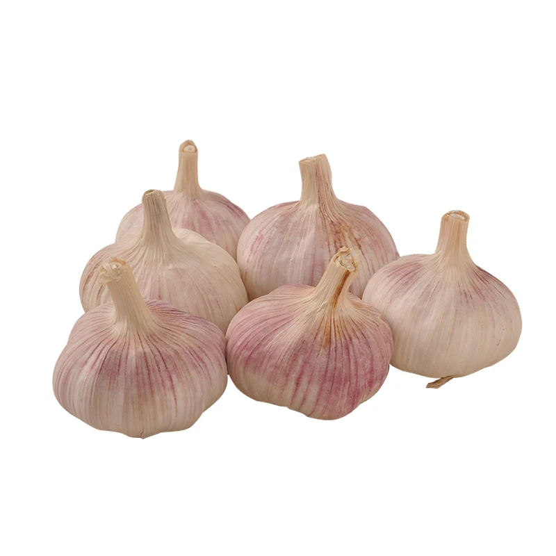Factory Price Bulk Garlic For Sale 20g/pc  garlic-frozen-price with beautiful price