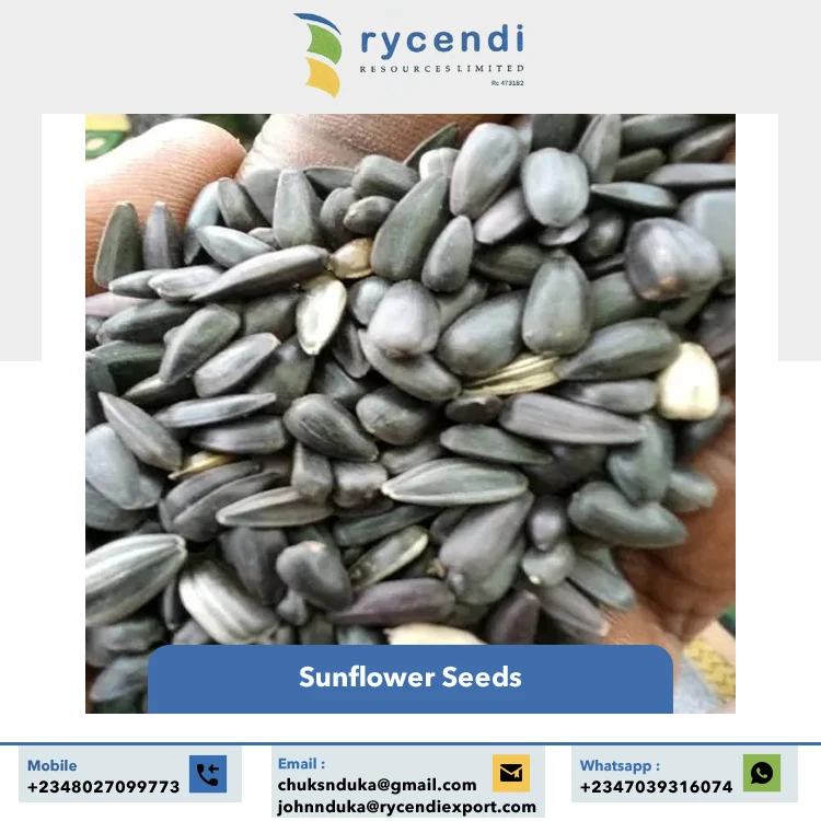 Premium Quality Nigeria Origin Agriculture Products Natural Pure Sunflower Seeds at Competitive Market Price