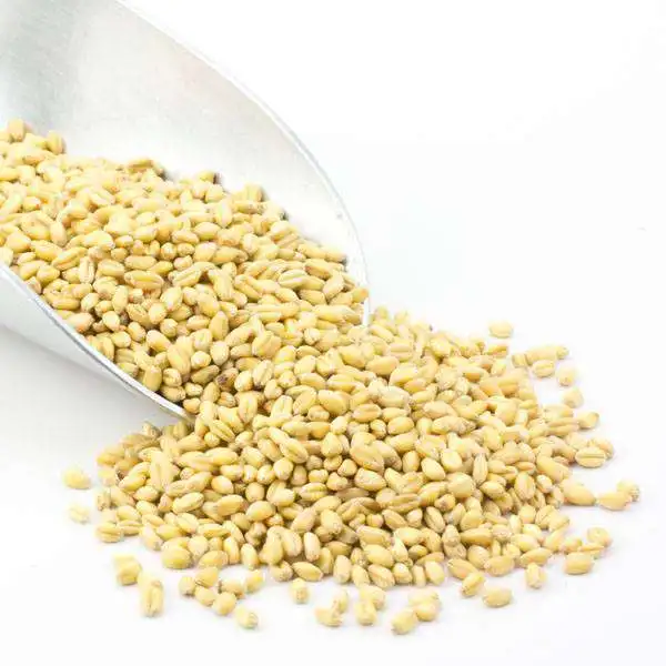 high quality Wheat Grain,Soft ,Milling Wheat, Durum Wheat