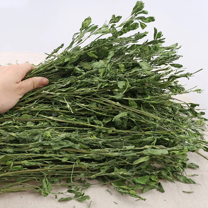 Купить сено люцерны для корма животных-высокое качество и Лучшая цена в наличии