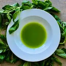 High Quality Holy Basil Extract Powder Tulsi Ocimum Tenuiflorum Extract Holy Basil Extract supply from india