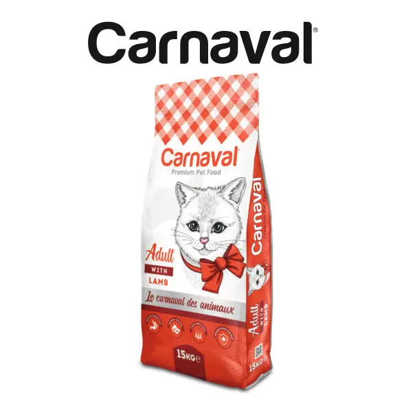 High Quality and Super Clumping bentonite Cat Litter Unscented For Pet Cat 0,6-2,25 Mm (5 Lt)