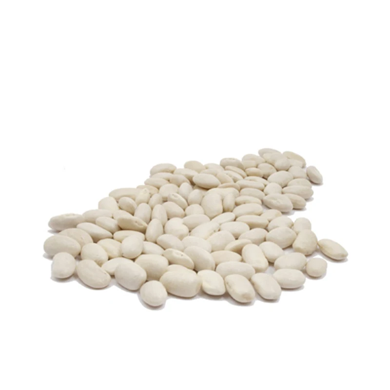 Wholesale Supplier Best Quality white kidney Beans For Sale In Cheap Price