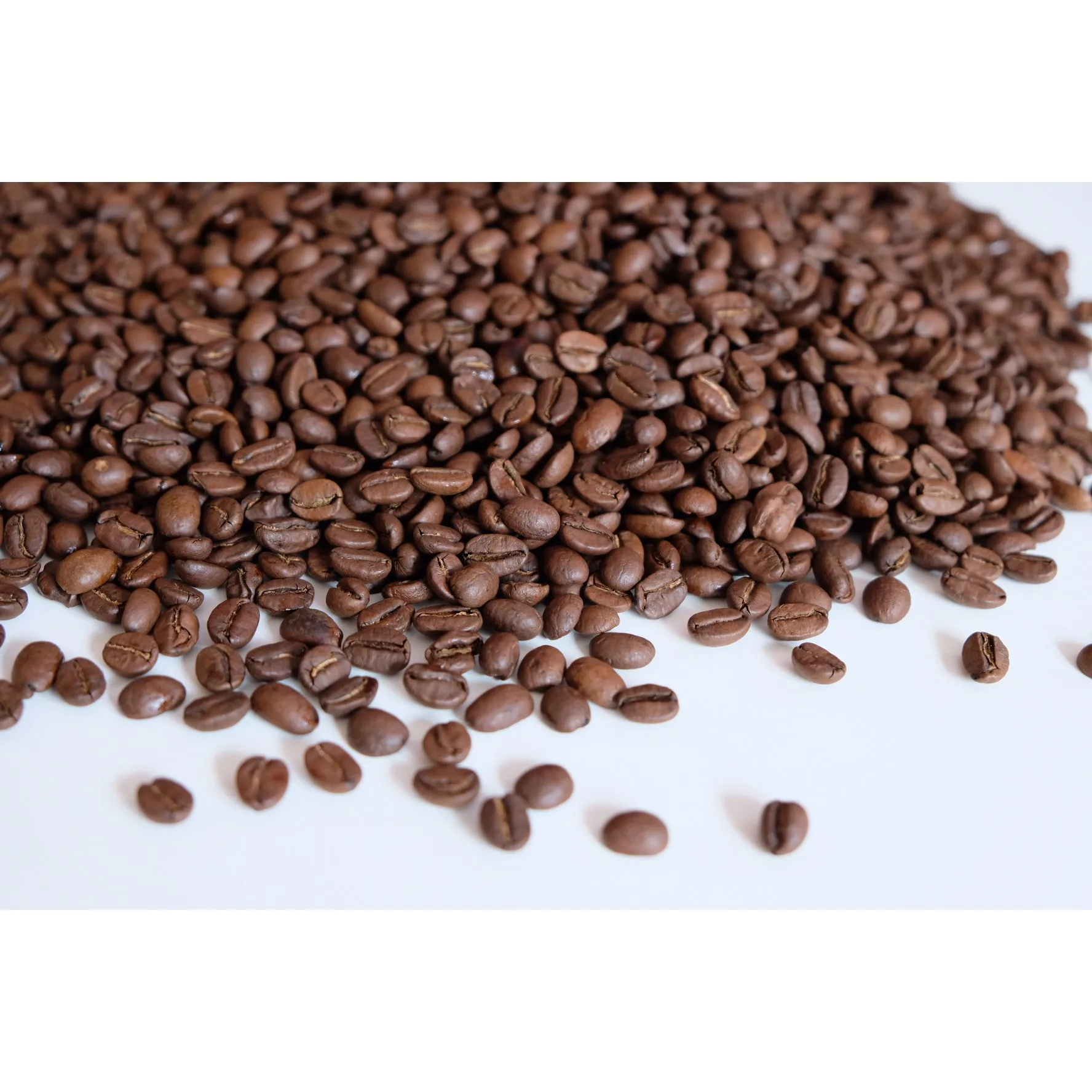 Good Price Arabica Cau Dat S16 Roasted Carpentry Coffee Beans Best Sell Coffee Roasted Beans