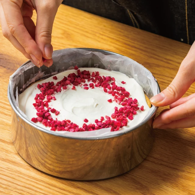 Bulk Orange Crumbs Freeze Grape Pressed Dried Dragon Fruit Slices