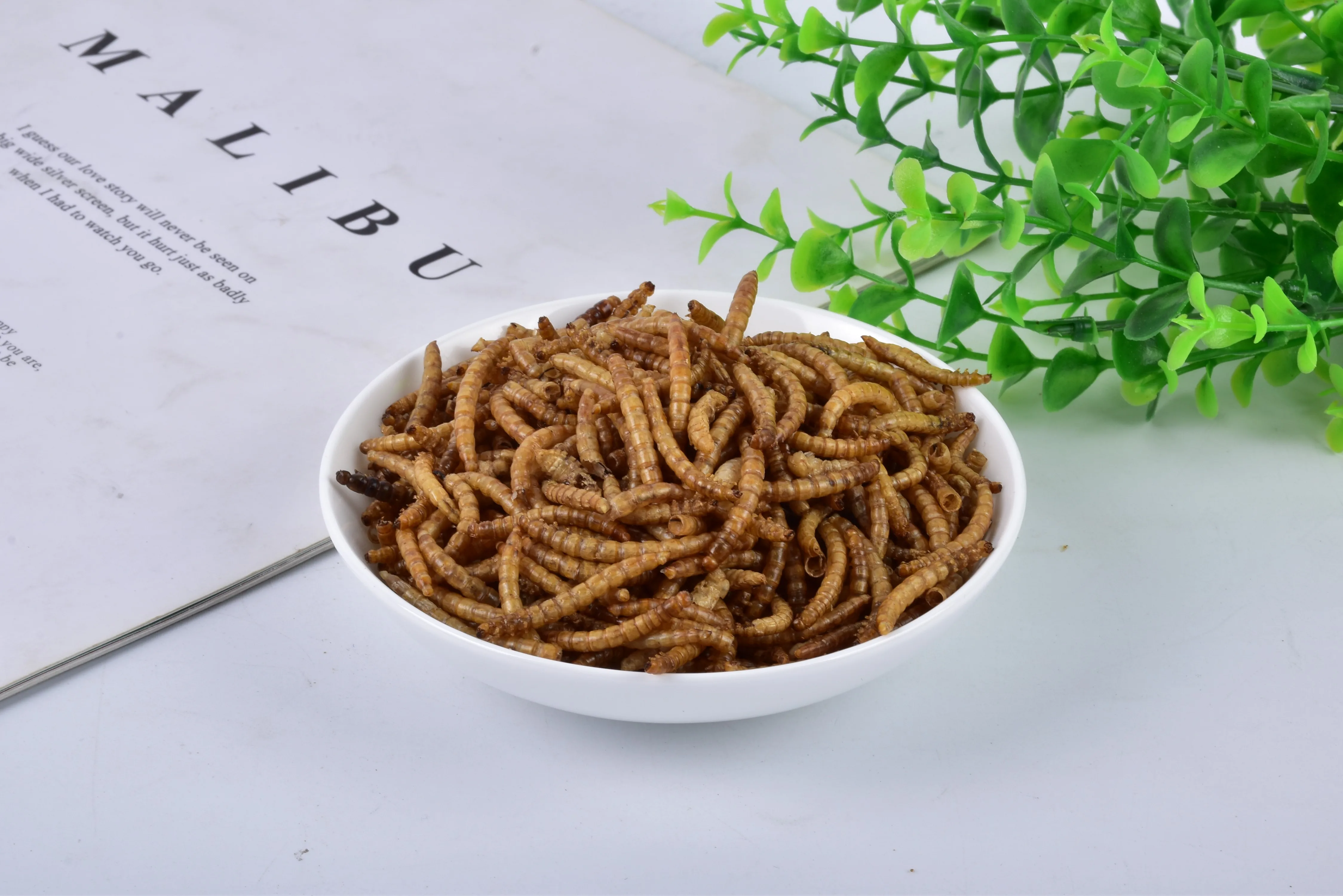 Functionality Natural Dried Mealworms Special Animal Feed for Bird