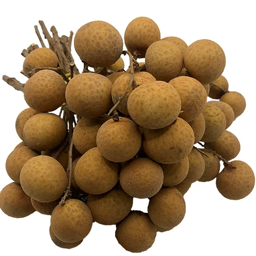 Premium Quality Imported Grade Longan Fruit Temperature measuring Quality Selecting Fresh Longan for Consuming from Thailand