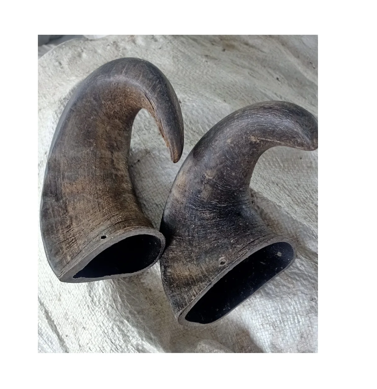 Hot selling pet products pet Food Dogs Food For product pircing best quality customization buffalo Horn natural horn