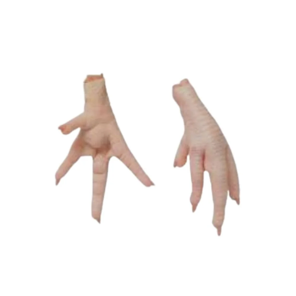 TOP SELLING FROZEN CHICKEN PAWS HIGH  QUALITY GRADE AA FROZEN CHICKEN PAWS FROM AL TAWAKAL FROZEN FOODS