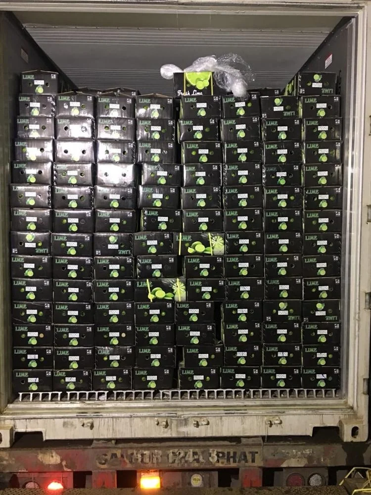Свежий лайм без семян вьетнамское производство высокое качество Лучшая