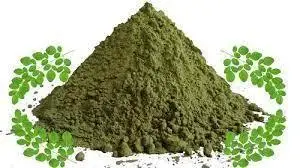 Highly Beneficial Drumstick Extract Organic Powder Cosmetic Grade Dried Drumstick Powder At Factory Price