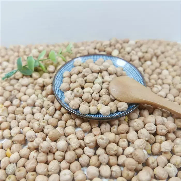 Chickpeas Natural Wholesale Organic Top Quality Chickpeas/Kabuli Chick Peas Garbanzo Bean, Chick peas