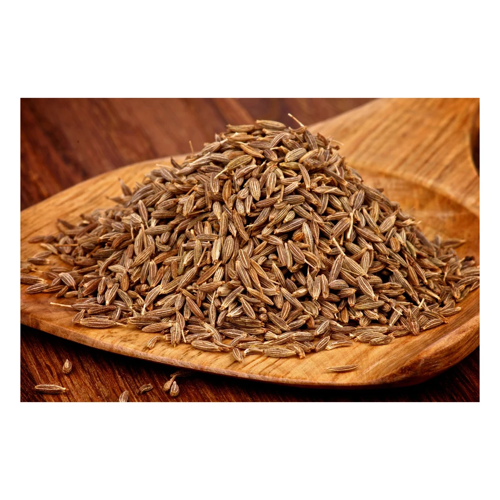 Лидер продаж семена кумина лучшего качества для продажи по низкой
