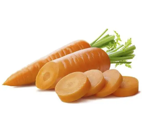 Fresh Carrot - Fresh Vegetable from Viet Nam
