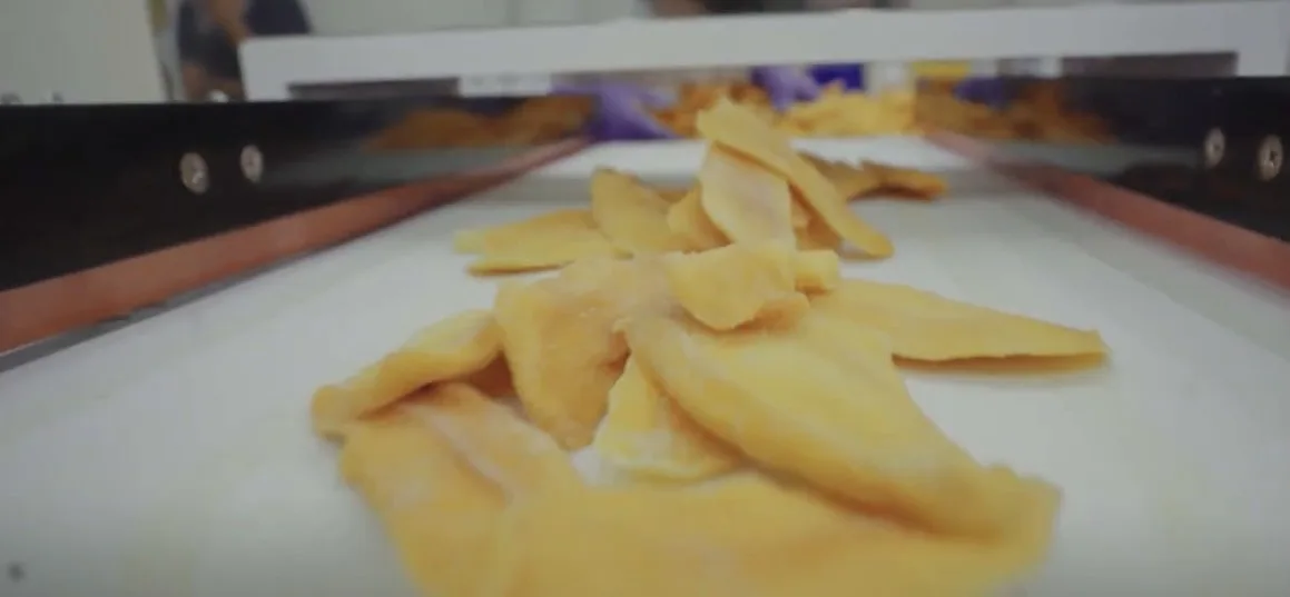 Best Quality And Premium Export Grade Dried Mango