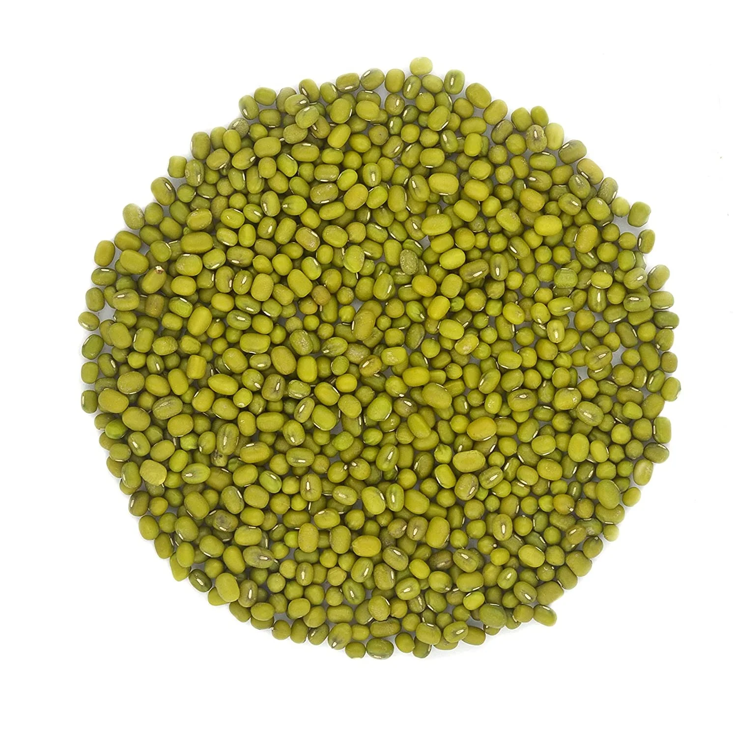 Wholesale Natural Organic High Quality Green Mung Beans Green Vigna Beans Green Gram Beans