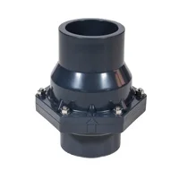 90MM Swing Check Valve   upvc check valve  PN16  water treatment equipment  swimming pools  water parks   usage free sample