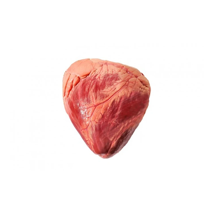 Wholesale Price Highest Quality 100% Natural Frozen Vacuum Pack Beef Hearts from Brazilian Supplier