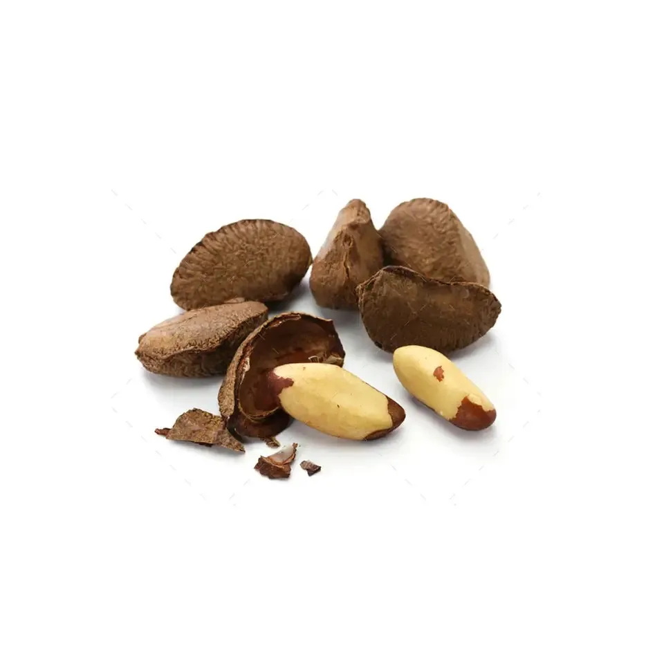 Premium Quality Brazil Nuts Natural Raw Shelled | Medium Large Extra Large Sizes | Roasted Nuts | Edible