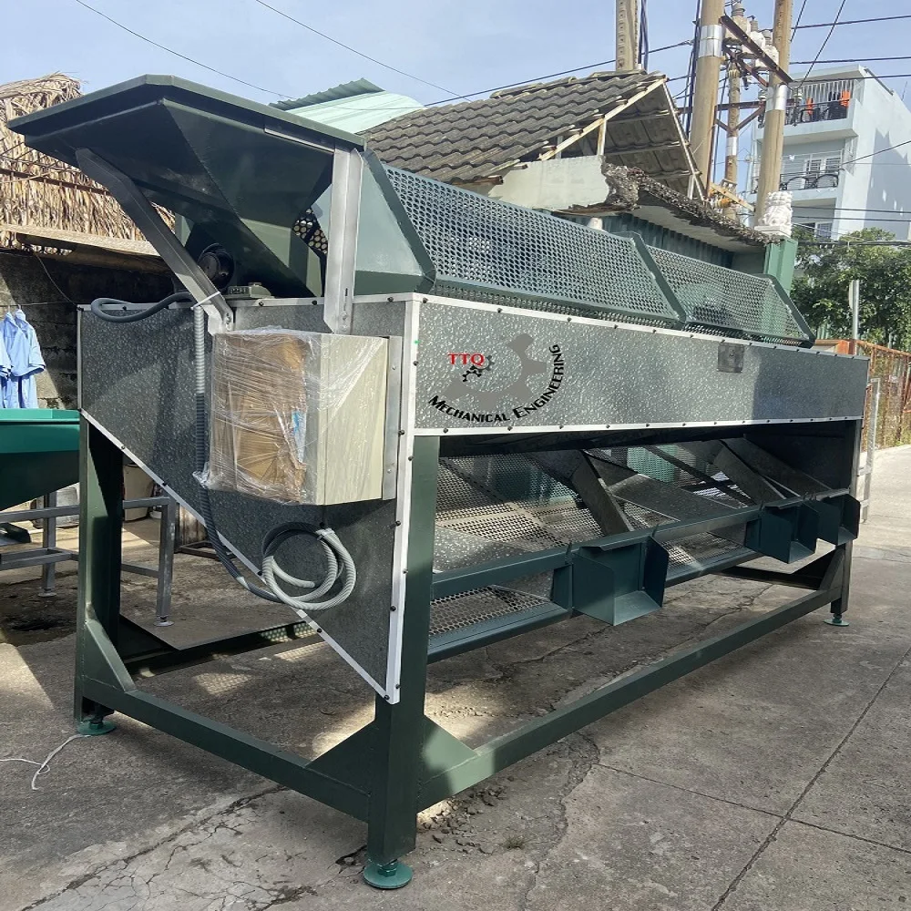 Cashew nut processing machine/raw cashew size grading with cheap price from VietNam In 2023