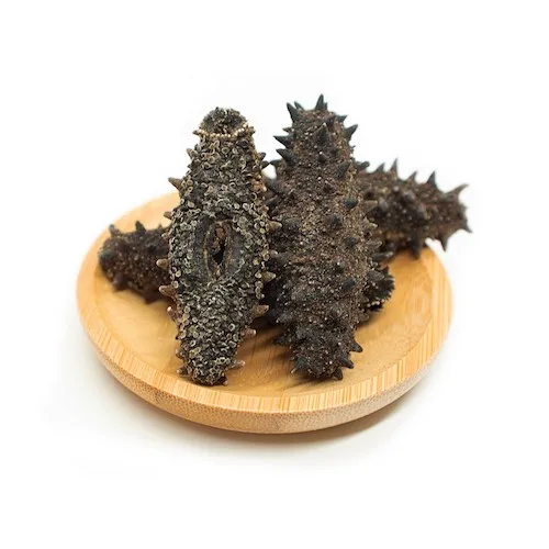 Natural Dried Best Price Sea Cucumber from Vietnam