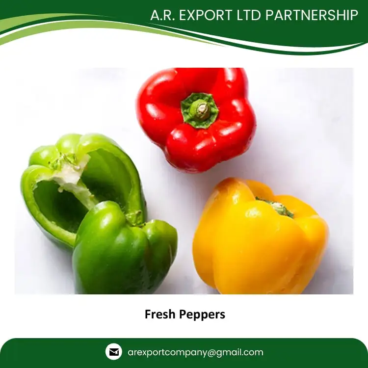 Exporting Highest Quality Wholesale Selling Fresh Bell Peppers for Genuine Wholesale Purchasers