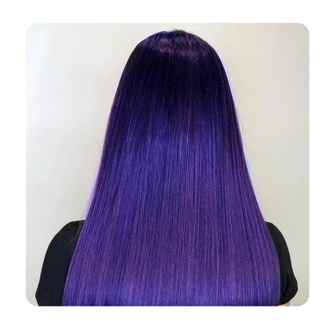 Indigofera Tinctoria Indigo Leaves Powder, Herbal Indigo Powder Without Chemicals