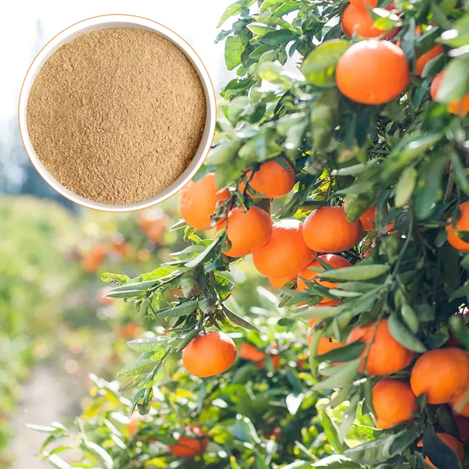 Best Quality Orange Peel Powder Organic Skin Brightening Powder for Women Skin Care Powder at Available Best Price